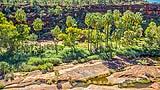 Palm Valley, Northern Territory