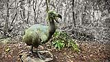 Dodo bronze, Mauritius